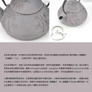 【TIAMO】鐵壺07-015-0.8L茶壺 附濾網(南部鉄器)/HA5049(灰藍調/竹樣)|Tiamo品牌旗艦館