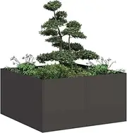 Raised Garden Bed, Elevated Planter Box Plant Container Black 80x80x40 cm Cold-Rolled Steel