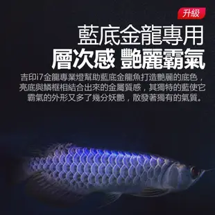 吉印龍魚專用燈i7Plus紅龍魚烤色發色燈金龍觀賞魚缸增艷rgb專業