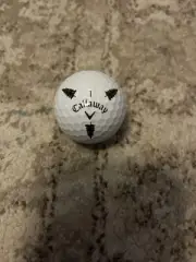(1) RARE Callaway Chrome Soft TRUVIS Golf BALL - Brookmeadow Country Club MA USA