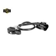 RAE Crankshaft Position Sensor - SC194GEN