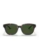 Coach Men's Square Frame Brown Acetate Sunglasses - HC8340U