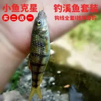 在飛比找Yahoo!奇摩拍賣優惠-溪流石斑魚線組 釣小魚釣白條魚鉤馬口三粒七星漂線組走釣裝備超