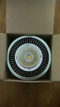 在飛比找Yahoo!奇摩拍賣優惠-LED PAR38 30W 暖白光(5000K) 220V 