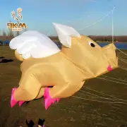 3m Pig Kite Line Laundry Pendant Soft Inflatable Show Kite 30D Ripstop with Bag