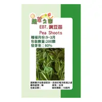 在飛比找PChome24h購物優惠-【蔬菜工坊】E07.豌豆苗(快炒店的豆苗菜)種子