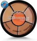 Cosmetics Pro Concealer Palette (Concealer)