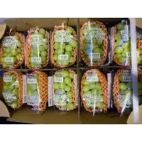 在飛比找蝦皮購物優惠-【2024日本長野麝香溫室葡萄】PC盒原裝10入