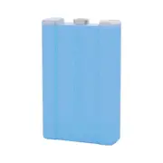 Companion Medium 350ml Ice Brick