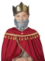 Child Wise Man Gray Beard and Mustache Costume Wig