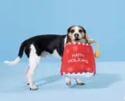 New Bark Box " Howlin' Haul Gift Bag " Dog Toy & Christmas Gift Bag
