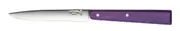 Opinel 001587 - 11cm Stainless Steel Bon Appetit Table/Steak Knives (Box of 12 with Purple Handles)