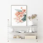 Australian native bloom Canvas Prints