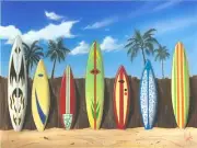Microfiber Cleaning Cloth. Phone+glasses+camera+screens. Hi-Look. Surf Boards.