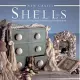 Shells: 25 Practical Projects Using Shapes and Textures of Natural Shells