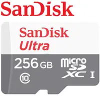 在飛比找蝦皮商城優惠-SANDISK 256GB UHS1 監視器適用 高速記憶卡