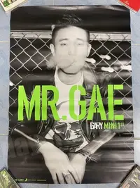 在飛比找Yahoo!奇摩拍賣優惠-2014 姜GARY MR.GAE RUNNING MAN海