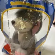 Burger King Anastasia Disney Pooka Plush Large 8" Dog New In Package Sealed