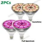 300W Full Spectrum Plant LED Grow Light Sunlight Lamp for Veg Hydroponics 17H