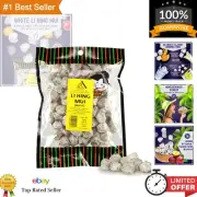 Seeded White Li Hing Mui Crack Seed Plums - Salty, Sour, Bitter Asian Plum Candy