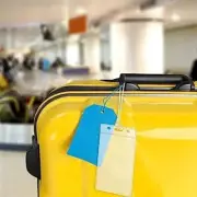 10 Clear Waterproof Luggage Tags/Badge Holders