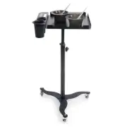 Rolling Salon Tray Cart Organizer Hair Extension Tool Salon Trolley Hair Color S