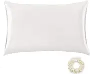 Silk Pillowcase for Hair and Skin 100% Mulberry Silk Bed Pillowcase with Hidden Zipper Gift Box Packed(Standard, Ivory (Natural White No Bleach))