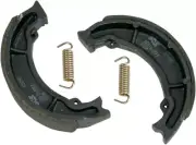 SBS Brake Shoes w/Springs (2034)