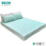 在飛比找遠傳friDay購物優惠-【南良 H&H】涼感床墊 抗菌釋壓 床包式(藍綠色 附枕頭套