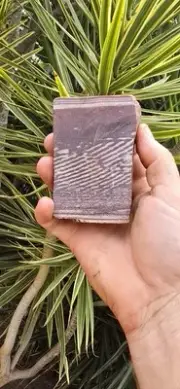 ZEBRA STONE, WESTERN AUSTRALIA