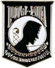 POW/MIA You Are Not Forgotten Lapel Pin VetFriends.com, Standard, Metal, no gemstone