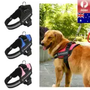 Pet Puppy Dog Cat Soft MESH VEST LEASH Harness Breathe Adjustable Braces Clothes