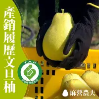 在飛比找Yahoo奇摩購物中心優惠-【麻營農夫】麻豆文旦柚10台斤x2箱(產銷履歷)