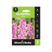Bloomin' Bulbs Gladioli Pink Bulbs - 3 Pack