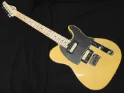 Schecter Ol-Te-2H-Fxd Bsc M Telegivtelecasterelectric Guitar Humbucker Equipped