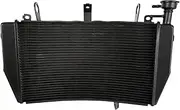 Rynplex Motorcycle Engine Radiator Cooler Cooling System, for Monster, 821 2014 2015 2016 Aluminum Motorcycle Engine Radiator