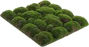 Abaodam Moss Wall Panel Faux Moss Board for Bedroom Wall Decor Durable Background Decoration with Unique Artistic Flair Easy Maintenance Versatile Design