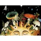 Tapestry Wall Hanging Sleeping Shroom Sun 5 ft x 4 ft Home Decor