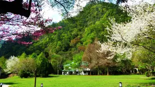 南投|奧萬大國家森林遊樂區門票|平假日均可使用|免費停車