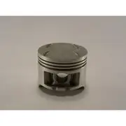 Austral Piston Set - PO1247 020