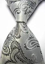 Cashew Flower Men's Business tie high-end Fashion Salesman tie