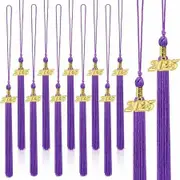 20Pcs Graduation Tassels Academic Graduation Cap Hat Tassel with 2025 Gold Charm for 2025 Graduation Ceremonies Accessories (Purple)