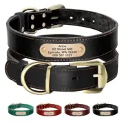 Leather Personalised Dog Collar Custom ID Name and Number for Small/Large Dogs