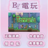 在飛比找蝦皮購物優惠-[EY超級電玩] Steam正版 泰拉瑞亞 Terraria