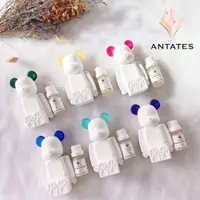 在飛比找蝦皮商城優惠-【WANgT】【ANTATES】安泰特斯 車用/居家暴富熊香