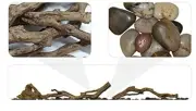 DIMPLEX LF74DWS-KIT Driftwood and Rocks for 74" Electric Fireplace
