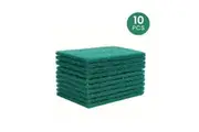 10 Pcs SCOURING PADS