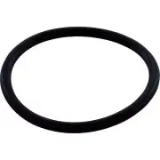 Upper WMS to Vactube O-Ring, Zodiac/Polaris 3900