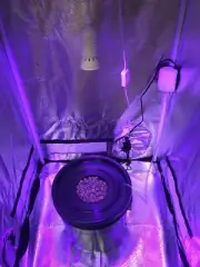 Hydroponic System LED Combo - Complete Grow System - 1 Site DWC Hydroponic Kit
