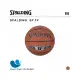 【SPALDING】斯伯丁 SP TF銀色 合成皮 Sz6 6號籃球 室內外 兒童籃球 SPA76860 原價990元